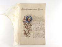 Kranner, Johann. Kalligraphisches Gesuch um Verleihung des Titels eines kaiserlichen und königlichen Hofsteinmetzmeister